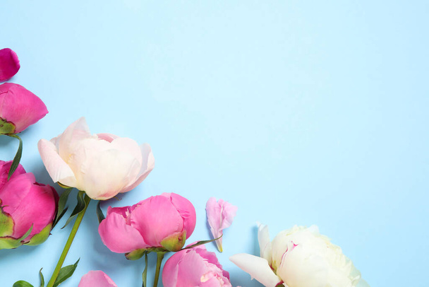 Beautiful peonies on light blue background, flat lay. Space for text - Foto, Imagen