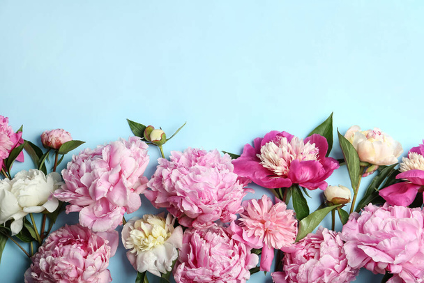 Beautiful peonies on light blue background, flat lay. Space for text - Фото, зображення