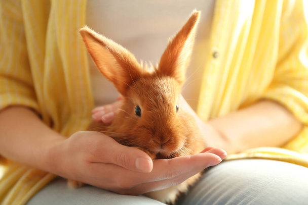 Young woman with adorable rabbit indoors, closeup. Lovely pet - Фото, зображення