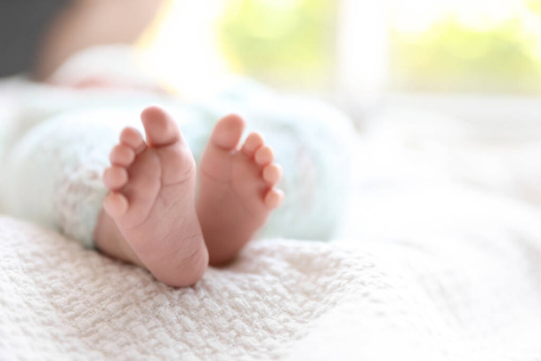 Newborn baby lying on white plaid, closeup of legs. Space for text - 写真・画像