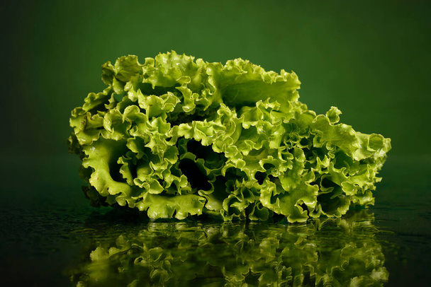 Nasse Salatblätter mit Wassertropfen auf dunkelgrünem oder schwarzem Hintergrund, isoliert, aufgenommen in einem Studio - Foto, Bild