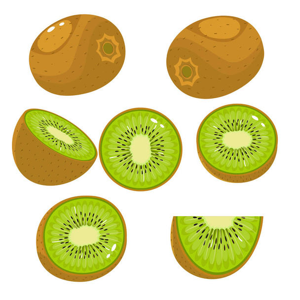 Fruto Kiwi. Enteros y pedazos. Dulce fruta. 3d vector iconos conjunto. Ilustración realista
 - Vector, imagen