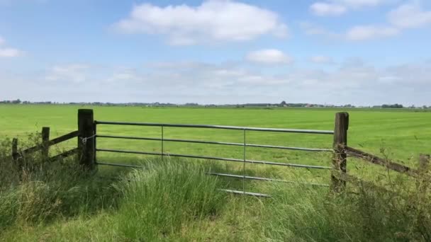 Friesland, Hollanda 'da tarım arazisi - Video, Çekim