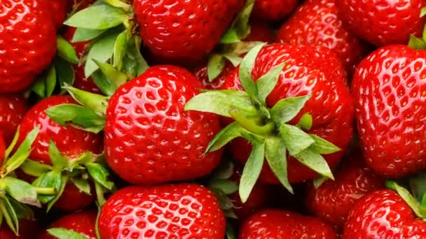 Čerstvé krásné červené zralé jahody, otáčení a zpomalení - Záběry, video
