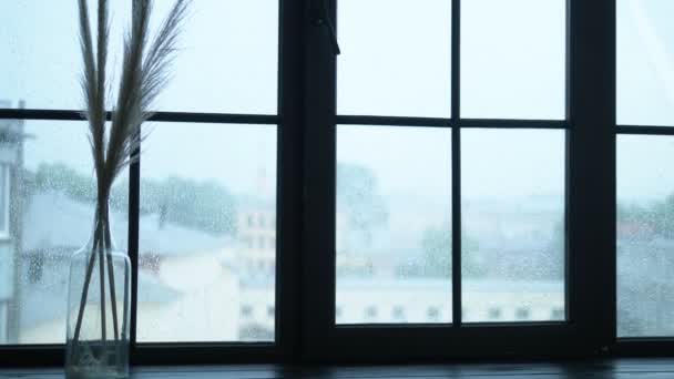 fenêtre, un bouquet d'épillets secs sur le rebord de la fenêtre. gouttes de pluie sur verre surplombant la ville - Séquence, vidéo