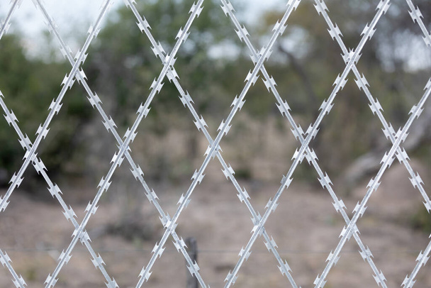 Omezená oblast ostnatý plot, bezpečnostní koncepce, Anti-migrant ostnatý drát na hranici.Jižní Afrika soukromé bezpečnosti - Fotografie, Obrázek