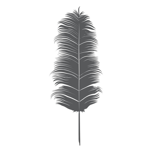 Feather. Isolated on white background. Vector Illustration. - Vector, Image