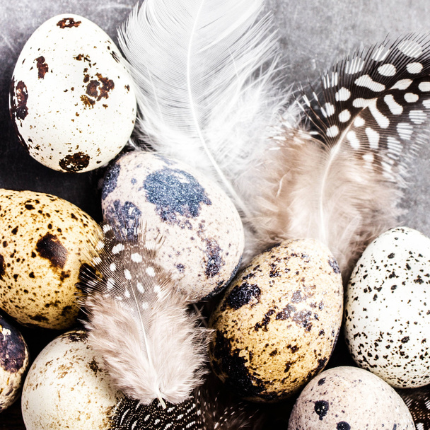 Quail eggs with feathers - Foto, afbeelding