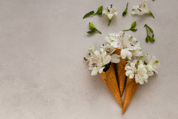 Conceito de verão ou sping. Flores nos cones de sorvete
. - Foto, Imagem