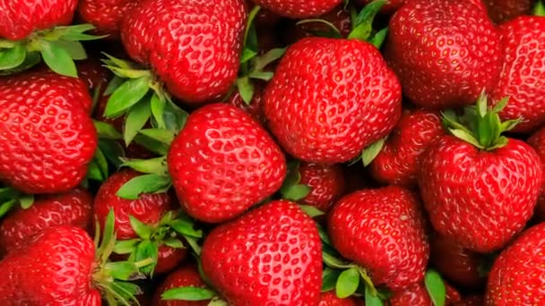 Beautiful strawberries close up, slow motion and zoom. - Footage, Video