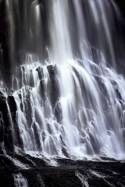 Tangle falls detail in the Canadian Rockies - Photo, Image