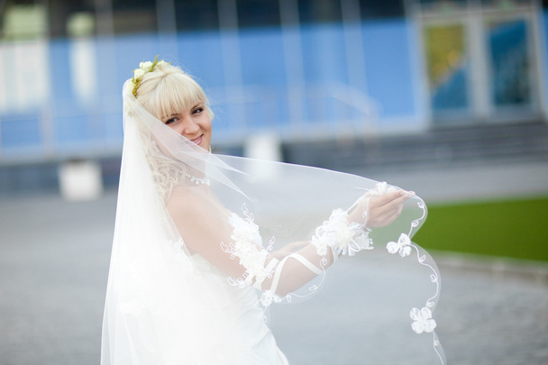 bride with long veil - Zdjęcie, obraz