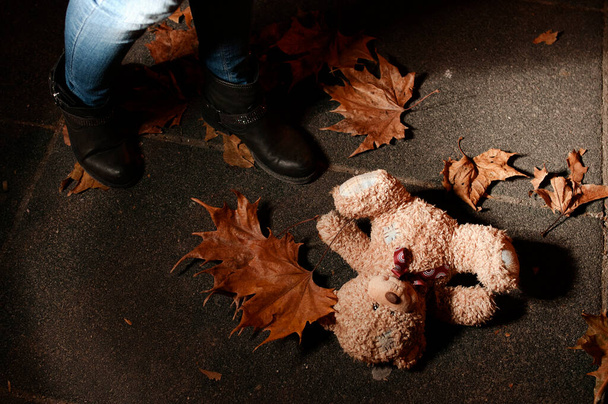 Opuštěný medvídek v listí v podzimním nočním parku - Fotografie, Obrázek