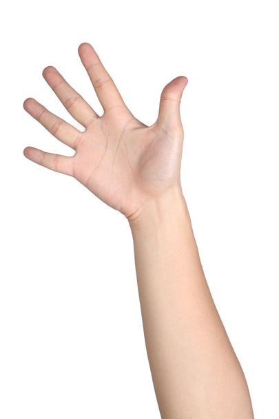 hand sign posture number five isolated - Foto, immagini