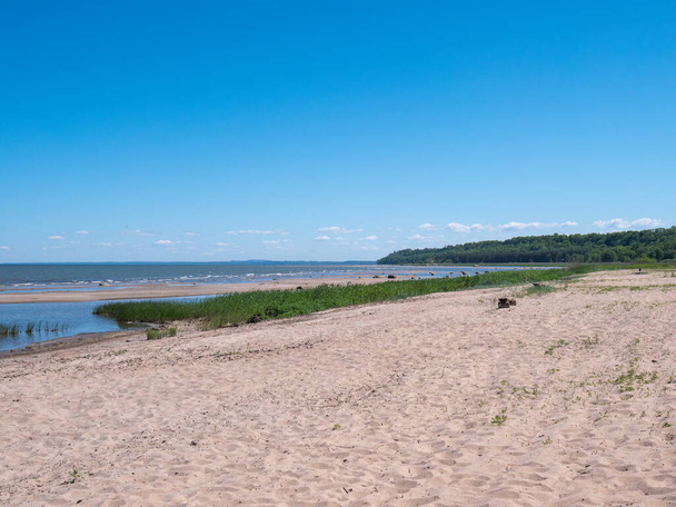 Baltic sea coast in Summer time - Photo, Image