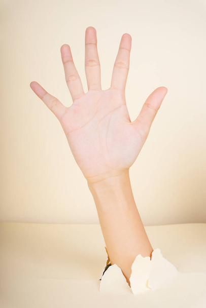 Γυναικείο χέρι που δείχνει 5 δάχτυλα χειρονομία απομονώνονται σε λευκό φόντο. - Φωτογραφία, εικόνα