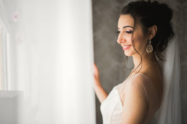 Gorgeous bride in robe posing and preparing for the wedding ceremony face in a room - Fotó, kép