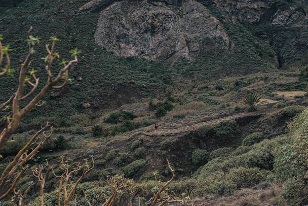 Ülke genelinde koşan spor koşucusu. Formda erkek koşucu egzersizi yapıyor ve güzel dağ manzarasında dışarı atlıyor. - Fotoğraf, Görsel