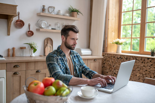 Man in a checkered shirt sitting in the kitchen and working on a laptop - 写真・画像