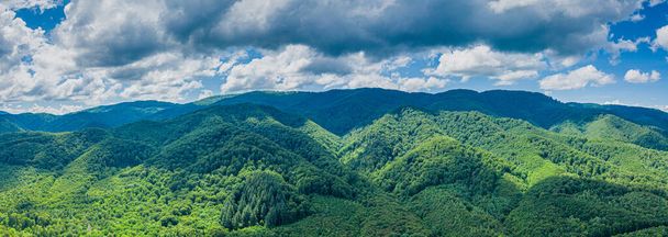 Vue panoramique sur les montagnes des Carpates en été vue aérienne - Photo, image