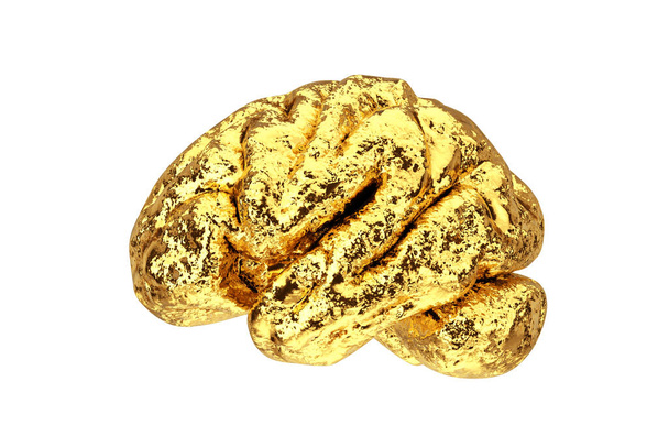 Anatomisch Model van het menselijk gouden brein op een witte achtergrond. 3d Rendering - Foto, afbeelding