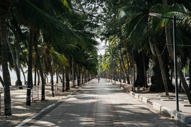 Beautiful tropical summer beach with many coconut tree in summer. - Zdjęcie, obraz