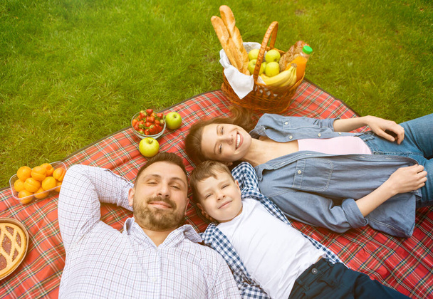Loving family with adorable boy relaxing under sun during picnic in countryside, view from above - Photo, Image