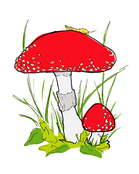 Illustration des Vektors Roter Pilz. Große und kleine Fliegenpilze im Gras. Handgezeichneter Cliparts in Herbststimmung  - Vektor, Bild