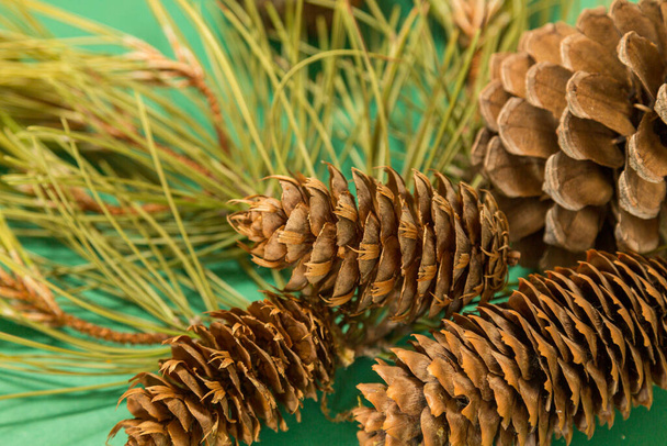 Natura morta in primo piano di ananas e rami di pino con sfondo verde - Foto, immagini