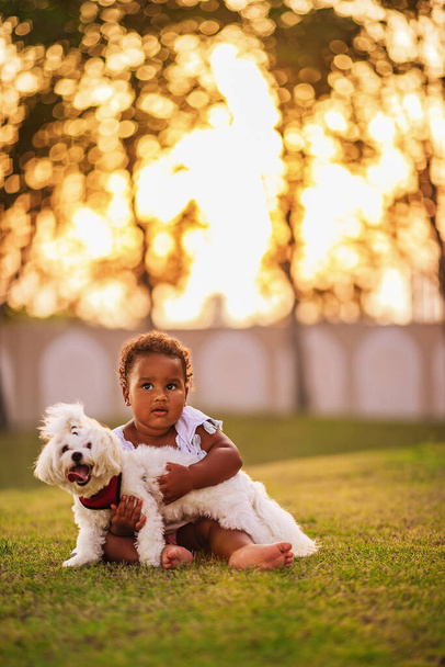 Sweet little African American girl wearing cute pink dress and walks on the grass outdoor, hugs her white puppy - Photo, Image
