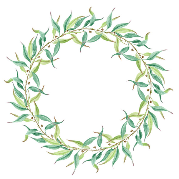 ユーカリの葉や枝のリース水彩イラスト。自然なリアルな植物フレーム画像。手描きの美しい緑豊かなユーカリのハーブサークル。白を基調とした装飾的な緑の花輪 - 写真・画像