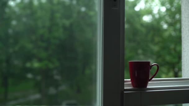 Tazza di caffè in un giorno di pioggia - Filmati, video