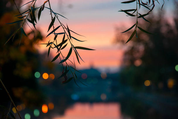 захід сонця на березі річки Бега в Тімішоарі. - Фото, зображення