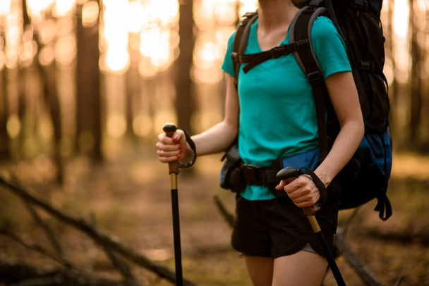 Close-up of female tourist with backpack and sticks in her hands in forest. - Fotografie, Obrázek