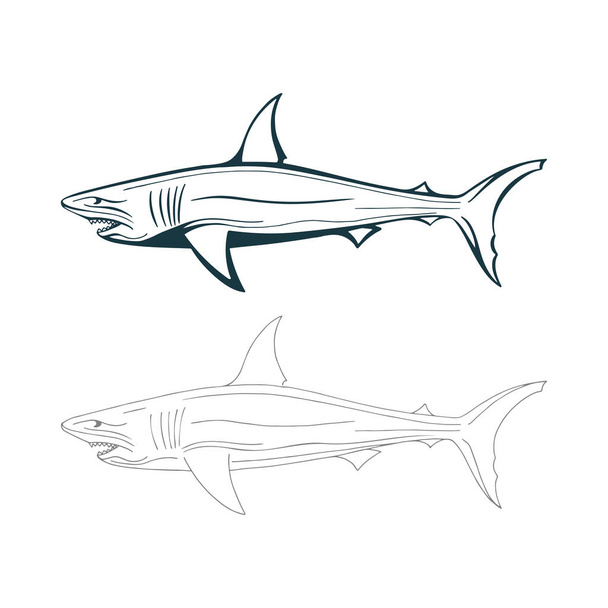 Cápa. Cápák kézzel rajzolt vektor illusztrációk készlet. Sketch rajz cápa grafika. A készlet része. - Vektor, kép