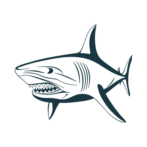 Tiburón. Tiburones mano dibujado ilustraciones vectoriales conjunto. Dibujo de dibujo de tiburones gráficos. Parte del conjunto
. - Vector, imagen