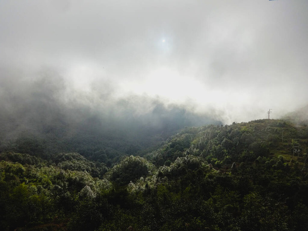 Köd gördül át a sűrű erdő Lung cu, Vietnam a téli szezonban - Fotó, kép