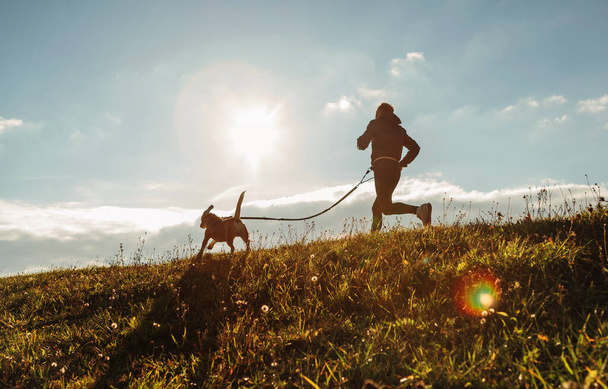 Man runing with his beagle dog at sunny morning. Healthy lifestyle and Canicross exercises jogging concept image. - Fotó, kép