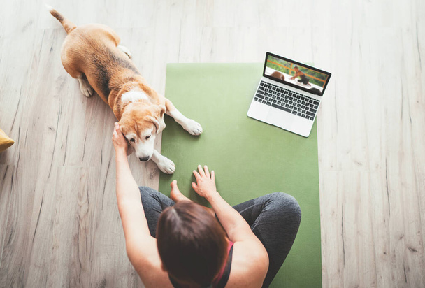 Top view at fit sporty healthy woman sitting on yoga mat, watching online yoga class on laptop computer and petting her beagle dog keeping company next on the floor. - Photo, Image