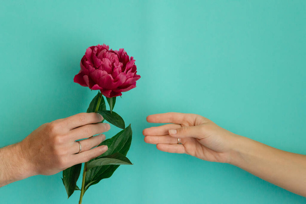 hand of a man holding a purple peony and hand of a woman trying to take it - Fotografie, Obrázek