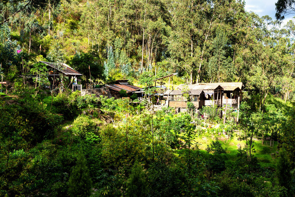 Casetta colonica nella parte rurale montagnosa dell'Ecuador tra dolci colline e piantagioni di caffè che possono anche servire come loggia giungla turistica. - Foto, immagini