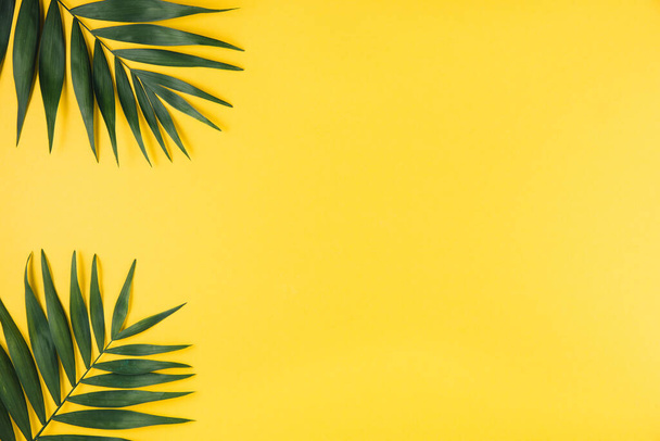 Tropical palm leaf on yellow background. Summer concept. Flat lay, top view, copy space - Фото, изображение
