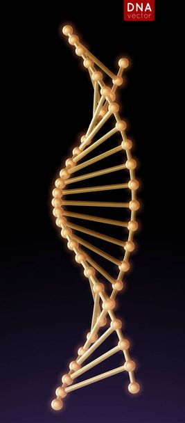 Realistic metal Vector DNA structure molecule helix, spiral on blure background. Medical science, chemistry biology, genetic biotechnology. Corona virus - Vector, Image