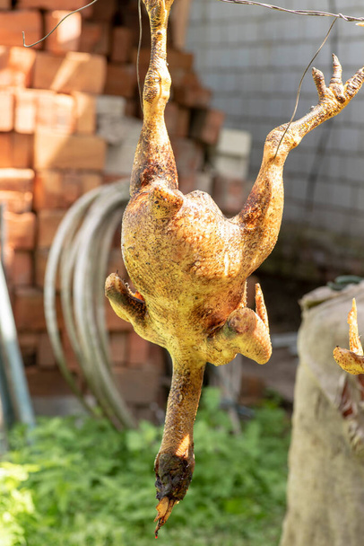 cultivar y cocinar pollos en la agricultura casera
 - Foto, Imagen