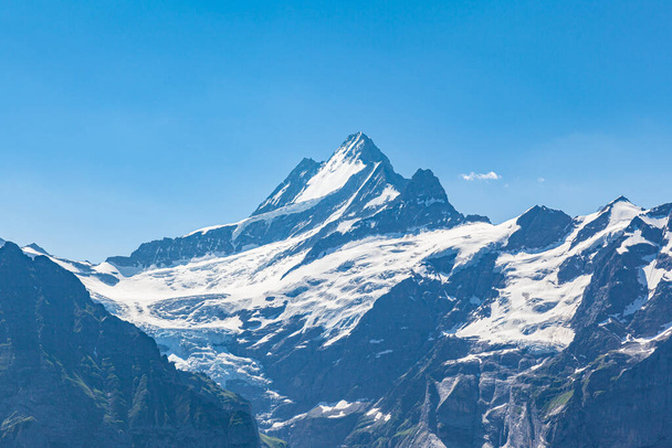 Stunning panorama view of Schreckhorn above Grindelwald on a sunny summer day, a famous mountain above 4000m of Swiss Alps on Bernese Oberland near Jungfrau and Interlaken, Switzerland - Fotografie, Obrázek