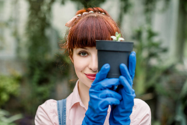 Close up beauty portrait of gardener woman in jeans overalls and blue gloves holding plant in pot with dirt or soil close to face, hiding her eye. Gardening beautiful woman holding succulent plant pot - Фото, зображення