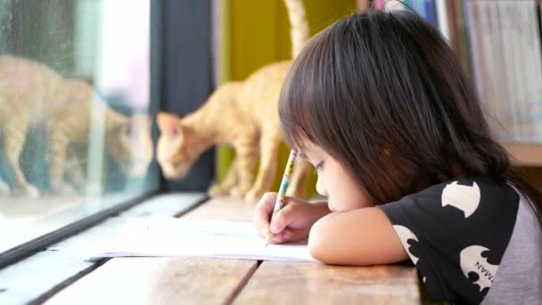 Kouluta kotona. Aasialainen pieni lapsi tyttö tekee kotitehtäviä ikkunan sisätiloissa viikonloppuna kissanpentu istui hänen vieressään. Kiva lemmikkikonsepti. Takaisin kouluun.. - Materiaali, video