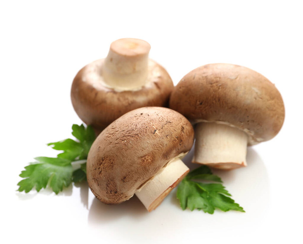 Brown champignons isolated on white background - 写真・画像