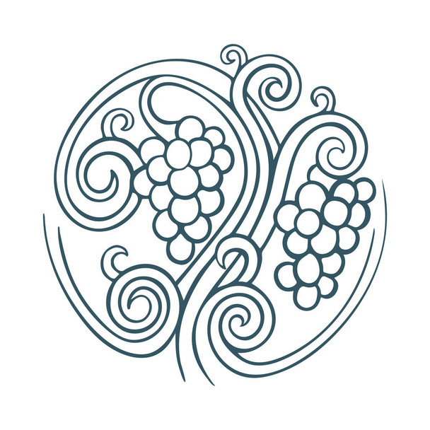 Druiven en wijnstokken hand getekend vector illustratie. Grapevine graveren stijl tekening. Deel van de verzameling. - Vector, afbeelding