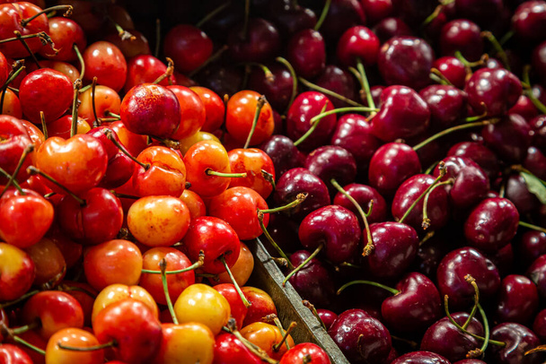 Two different kinds of cherries for sale on a farmers market stall - Фото, изображение